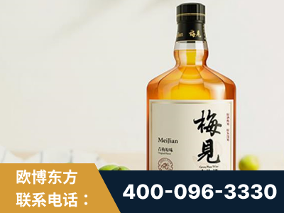 鹤岗-梅见青梅酒
